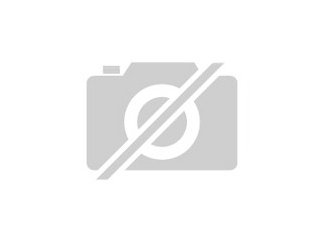 Suche schon länger kleinbleibenden Hund